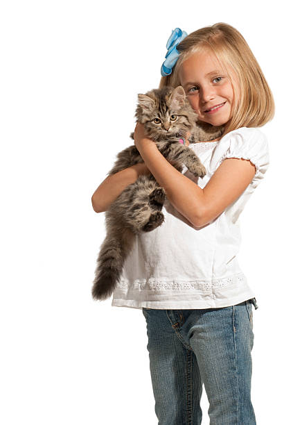 Girl and Kitten stock photo