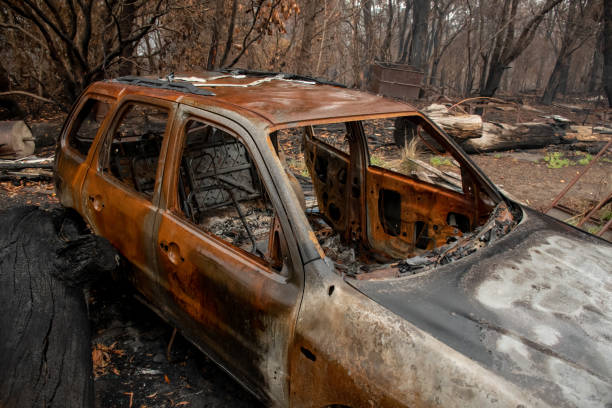 istock Australian bushfire aftermath: Burnt car carcass at Blue Mountains, Australia 1199141327