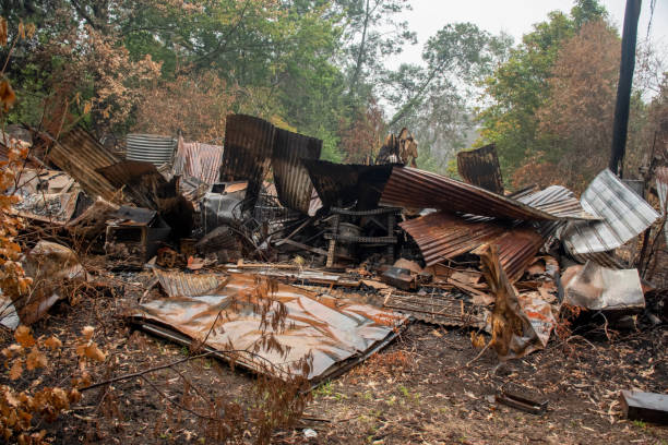 istock Australian bushfire aftermath: Burnt building ruins and rubble at Blue Mountains, Australia 1199141420
