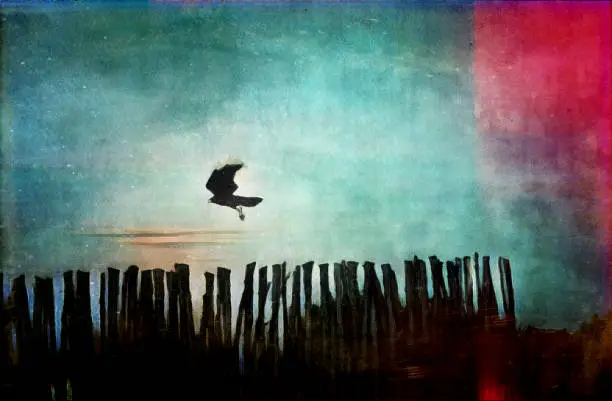 Horizontal landscape photo of a black bird flying above a row of black fenceposts has been transformed using the Enlight App