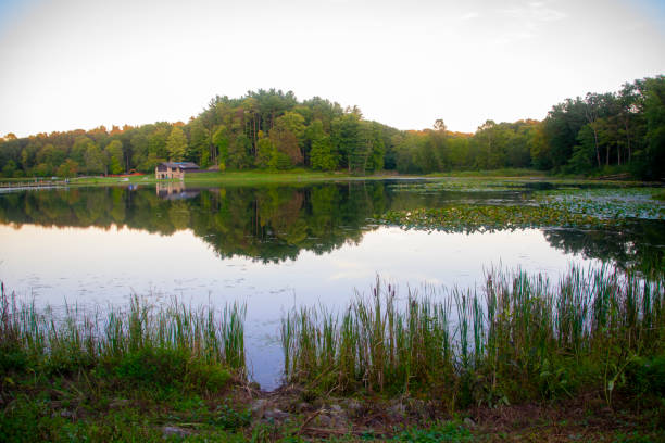 istock A beautiful calm lake scene on a perfect summers day 1199142269