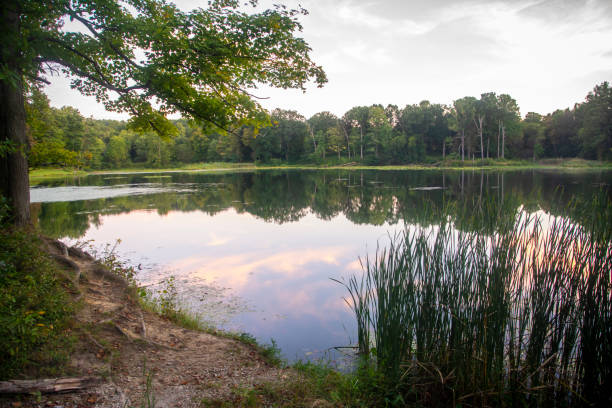 A beautiful calm lake scene on a perfect summers day