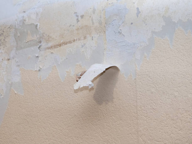 istock removing old wallpaper during repair 1199144300