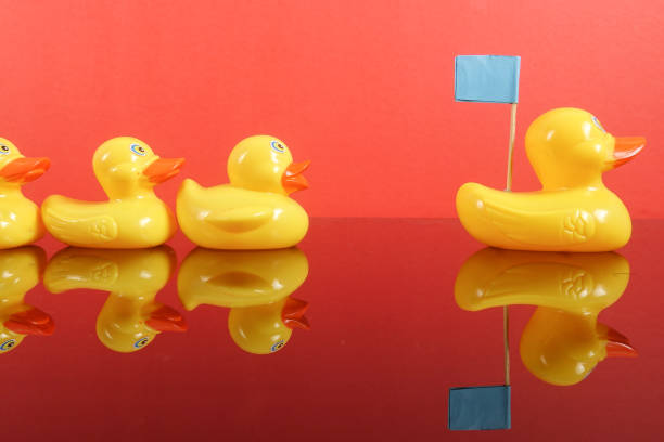 istock A group of ducks following big duck. Leadership conceptual. 1199146271