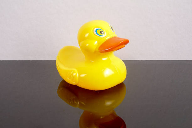 istock A yellow duck isolated on white with mirror refflection. Leadership conceptual. 1199146286