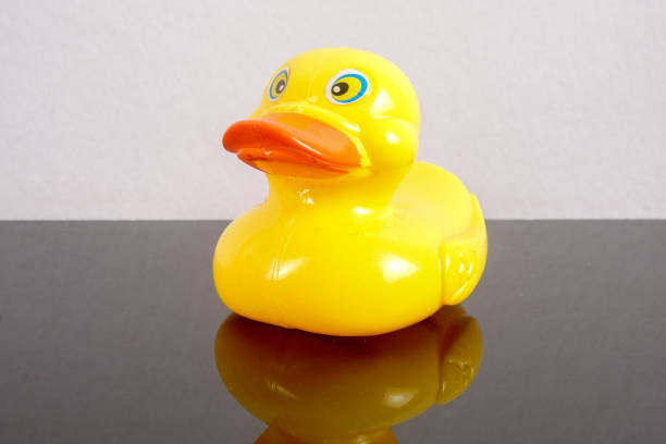 istock A yellow duck isolated on white with mirror refflection. Leadership conceptual. 1199146288