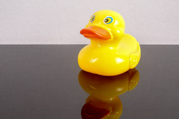 istock A yellow duck isolated on white with mirror refflection. Leadership conceptual. 1199146293