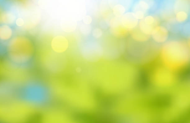istock The Natural green blurred background. Abstract blurred backdrop of bokeh light burst and textures. 1199148415