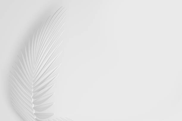 istock Three-dimensional palm curved leaf, like a light feather on a white background 1199149854