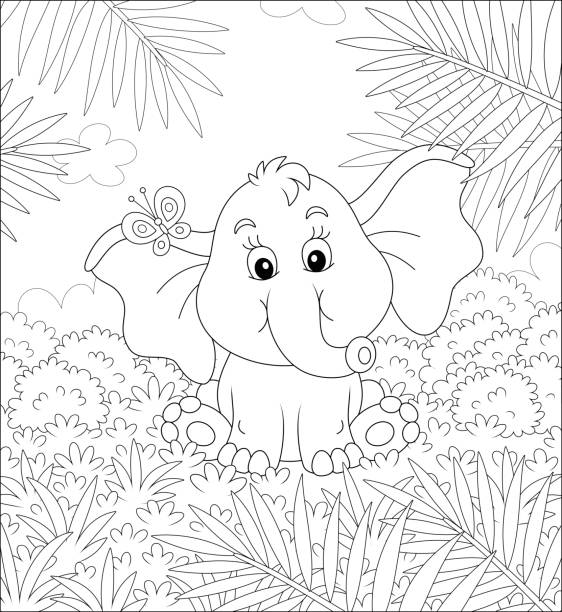 Little Elephant Playing With A Butterfly Stock Illustration - Download  Image Now - Rainforest, Animal, Coloring Book Page - Illlustration  Technique - iStock