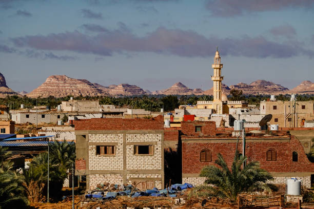 istock Siwa Oasis, Egypt 1199150674
