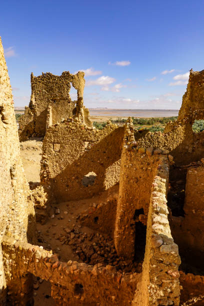 istock Siwa Oasis, Egypt 1199150684