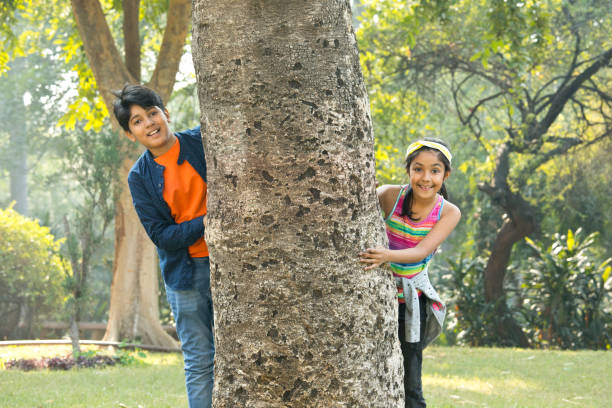 Two children in summer looking examining tree bark through magnifying glass while exploring forest nature and environment on sunny day