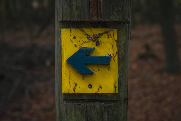 istock A directional sign to the left with blurry background 1199150947