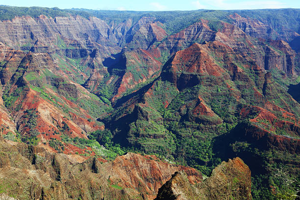 istock Waimea Canyon 119915168