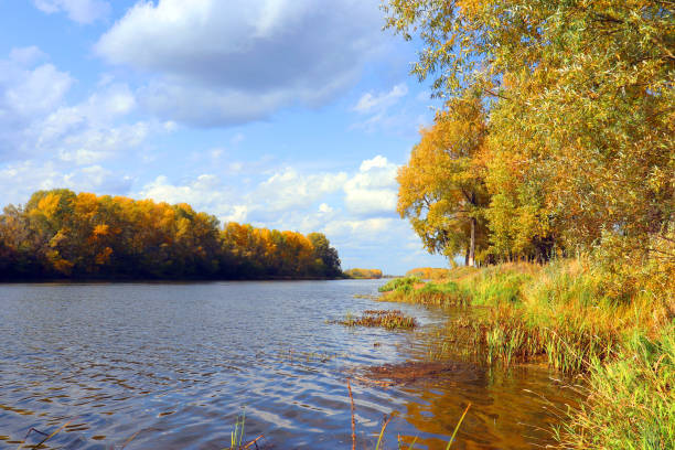 istock autumn landscape with river 1199151974
