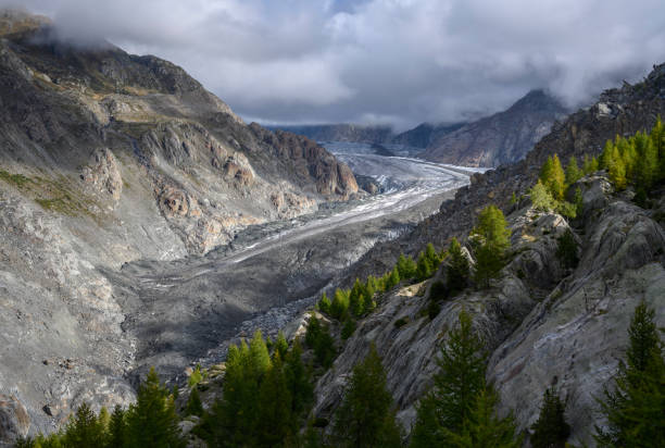 The lower part of the Aletsch Glacier (German: Aletschgletscher) and the beginning of the Aletsch forest (German: Aletschwald). The Aletsch Glacier is the largest glacier in the European Alps and is located in Switzerland.