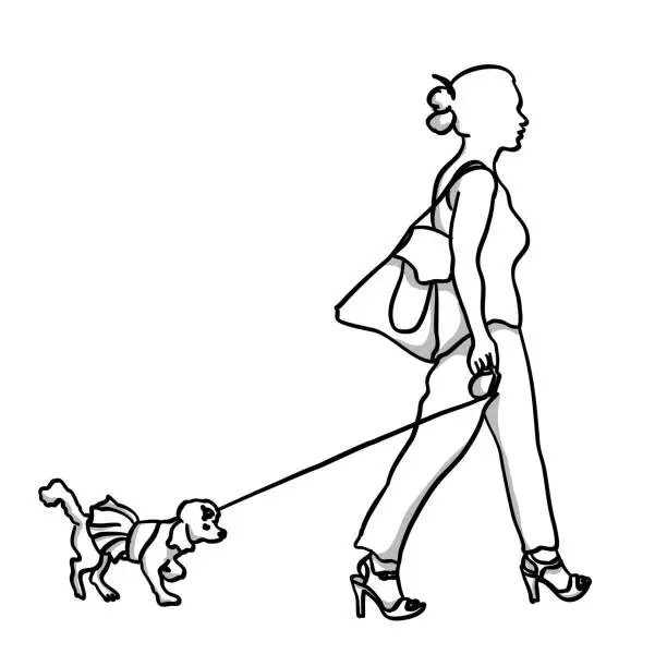 Vector illustration of Poodle Doggy Fashion