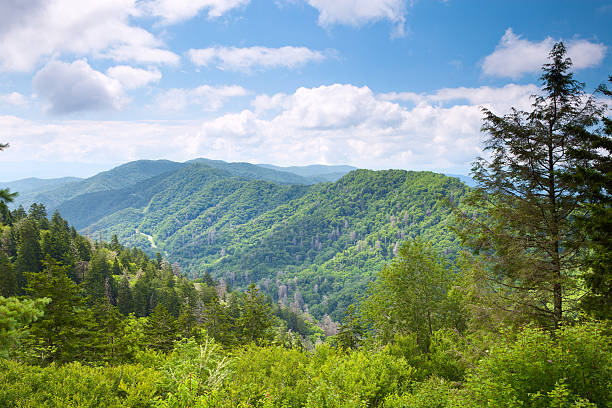 istock Mountain valley at sunny day 119915363