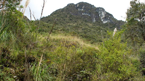 istock Mountains outside of Cuenca, Ecuador 1199154200
