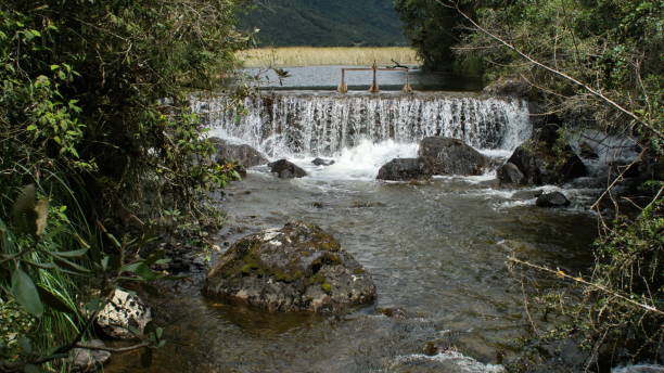istock Small dam on a lake 1199154418