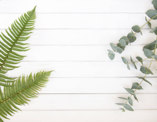 istock Top view of flatlay composition. 1199158186