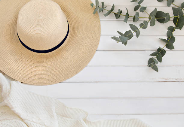 istock Summer holidays and eucalyptus leaves 1199158205
