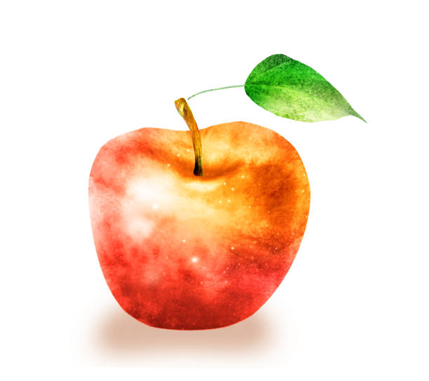 istock Watercolor apple on white 1199165022