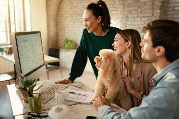 Group of happy freelance workers and a poodle using computer in the office.