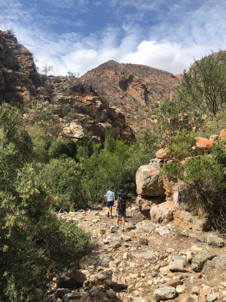 istock Rearview Hiking in canyon 1199166615