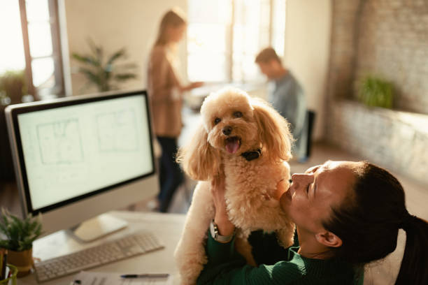 istock Happy Asian freelance worker having fun with her poodle in the office. 1199166683