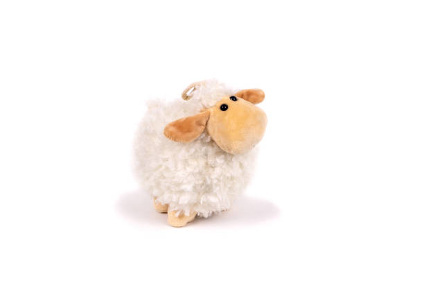 istock soft toy white background isolated white sheep 1199166718