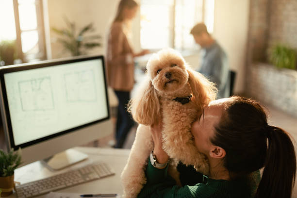 istock You are cute as a plush toy! 1199166812