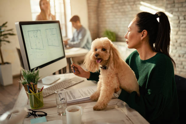 istock Asian architect with a dog reading blueprints on a computer in the office. 1199166843