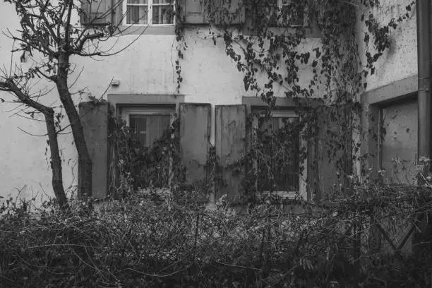 old house facade with overgrown windows and folding shutters in black and white