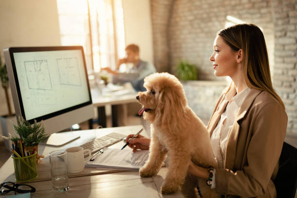 istock Young design professional with a dog working using computer in the office. 1199169953