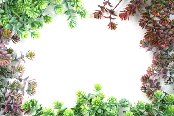 istock green artificial plant with space copy on white background 1199176807
