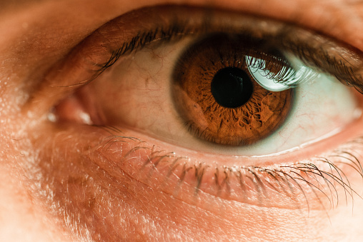 Close up, macro photo of human eye, iris, pupil, eye lashes, eye lids
