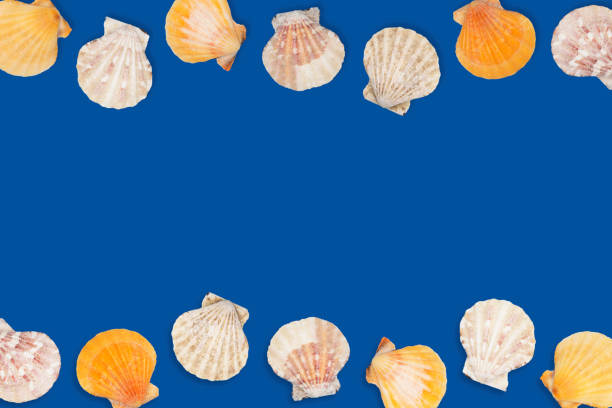 Closeup of pastel ridged seashell