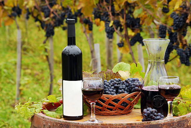 istock vineyard with red wine bottle and wineglasses 119918167