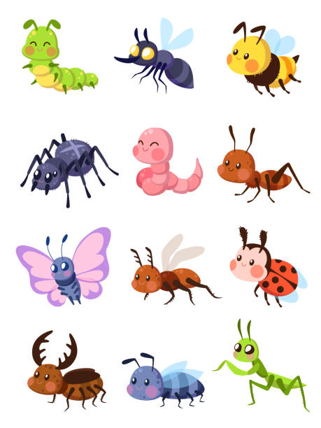 мультфильм насекомых. симпатичный кузнечик и божья коровка, гусеница и бабочка. комары и пауки. муха, муравей и богомол вектор набор - безпозвоночное stock illustrations