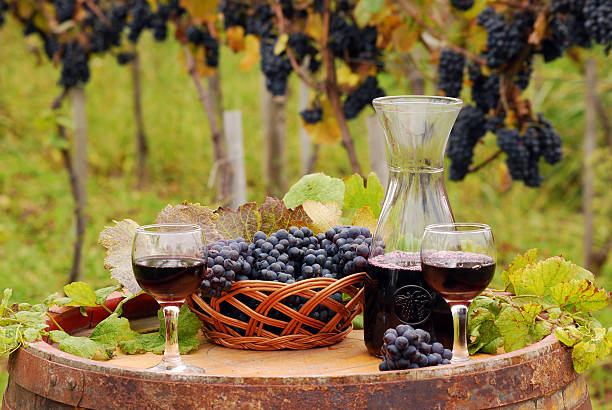istock wineglasses with red wine 119918180