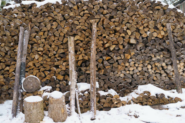 istock Russian rural lifestyle 1199182560