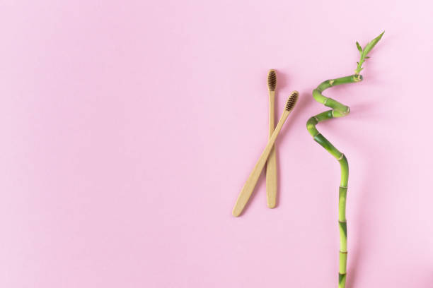 istock Two bio-degradable, compostable bamboo toothbrushes on pink background flat lay. Decor with green plant of bamboo. 1199184271