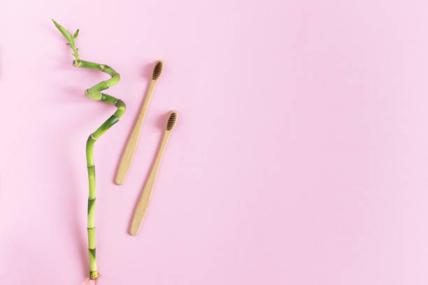 istock Two bio-degradable, compostable bamboo toothbrushes on pink background flat lay. Decor with green plant of bamboo. 1199184275