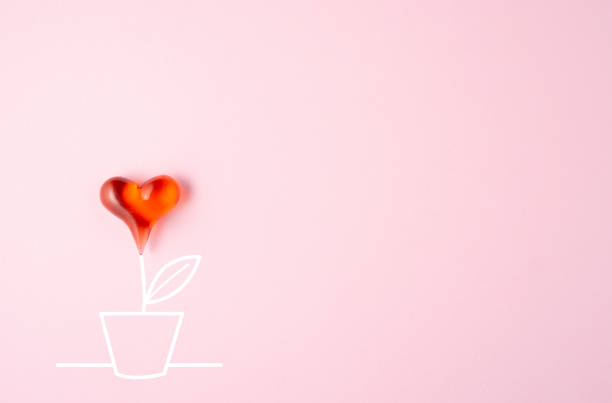 istock Love in the pot. 1199186133