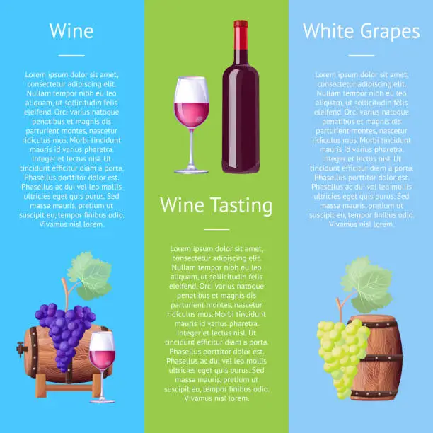 Vector illustration of Wine Taste White Grapes Vector Illustration Poster