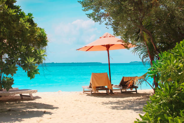 istock Two beach chairs on tropical sea vacation 1199189875