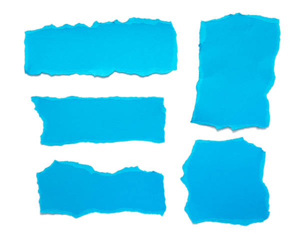 istock torn paper . collection of ripped pieces paper on white background. 1199192584