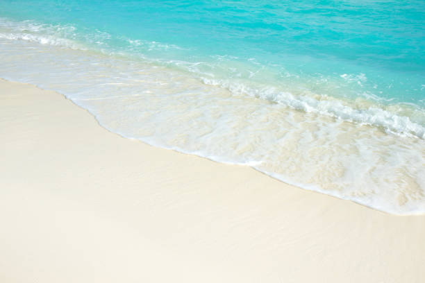 istock tropical beach in Maldives with blue lagoon 1199192628